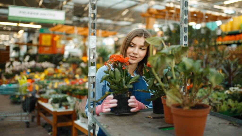 Mikrofirma - jak skutecznie pozyskiwać do niej klientów - sprzedaż