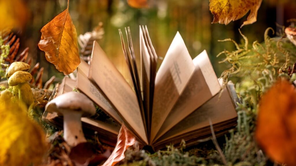 Obrazek przedstawia otwartą książkę leżącą w lesie