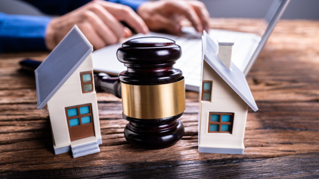 Magda prawniczka od rozwodów w mieście pełnym prawników